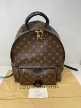Load image into Gallery viewer, Palm Spring Backpack MM