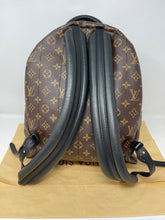 Load image into Gallery viewer, Palm Spring Backpack MM