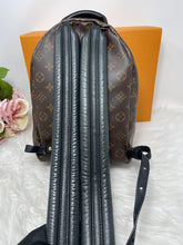 Load image into Gallery viewer, Palm Spring PM SKU6389