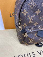 Load image into Gallery viewer, Palm Spring Mini SKU1238