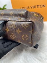 Load image into Gallery viewer, Palm Spring PM SKU6389