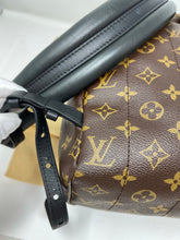 Load image into Gallery viewer, Palm Spring Backpack MM