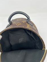 Load image into Gallery viewer, Palm Spring Mini Mono SKU1172