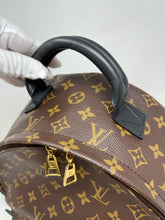 Load image into Gallery viewer, Palm Spring Backpack MM