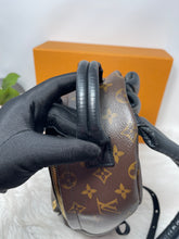 Load image into Gallery viewer, Palm Spring PM SKU6389