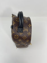 Load image into Gallery viewer, Palm Spring Mini Mono SKU1172