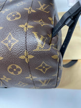 Load image into Gallery viewer, Palm Spring Backpack MM